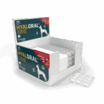 HYALORAL RAZAS GRANDES 360 COMP